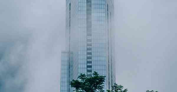 熊猫和和制作动画