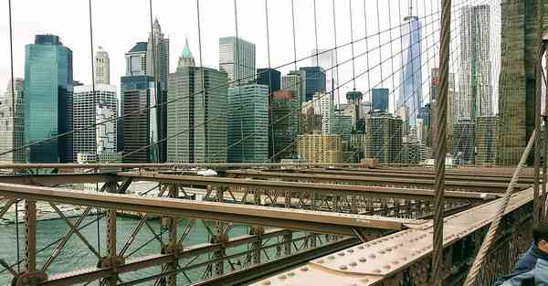 会动的蛋动画制作