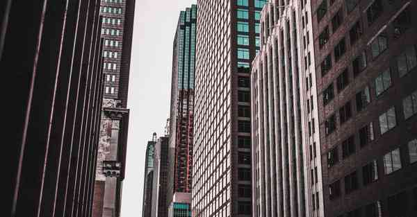 直线条动画制作