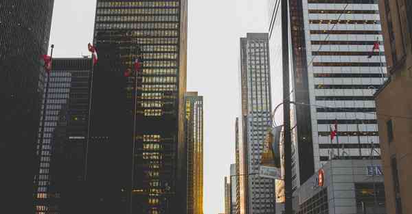 动画制作与技术专业