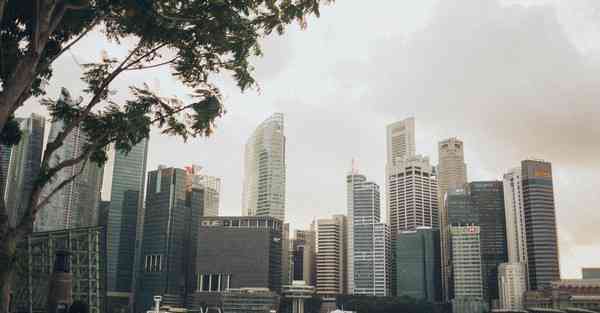 手机app制作ppt_手机app制作ppt教程