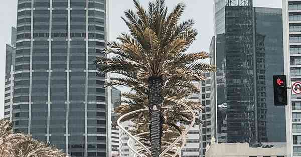 动画制作小狗视频_动画制作小狐狸