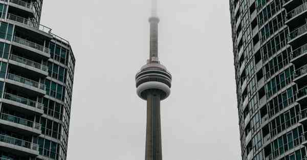 网游动画官方制作