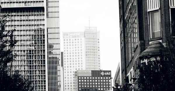 运动画报制作_运动画面拍摄