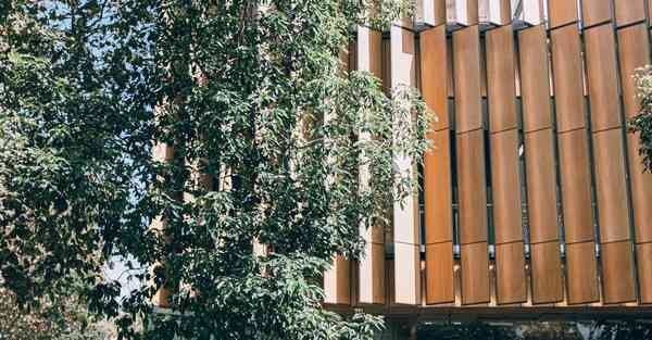 制作王者荣耀动画_制作王者荣耀人物