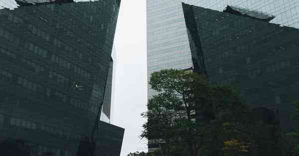 安徽制作动画电话