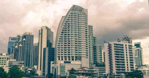 手机小动物_手机小说阅读app哪个好