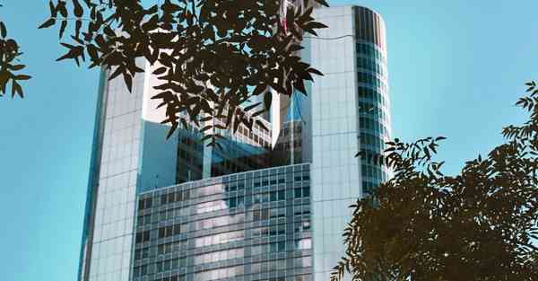 照片变动物_照片变动物一键生成