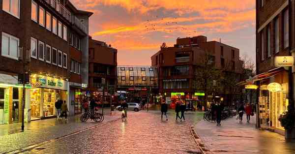 实验动画制作哪家便宜