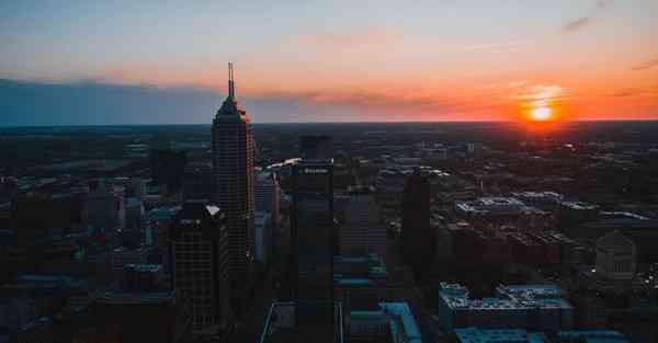 动画制作小说推荐_动画制作小狗