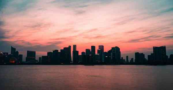 人类制作动物动画