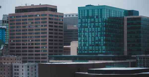 动画制作小说推荐_动画制作小狗