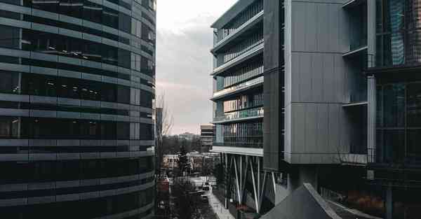 简易动画制作软件 画_简易动画制作过程