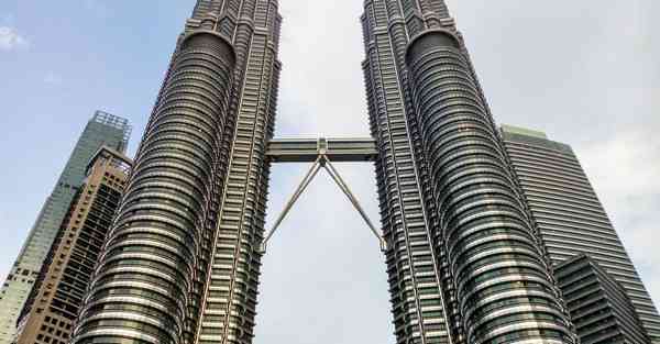 用老鼠制作动画