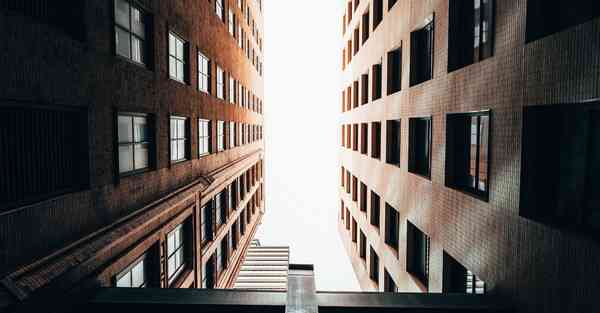 手机小动物_手机小说阅读app哪个好