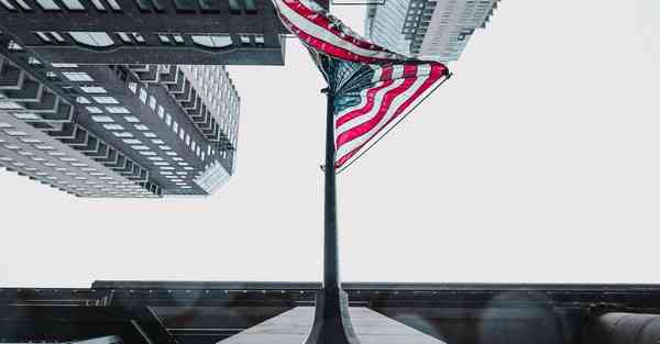 会动的蛋动画制作